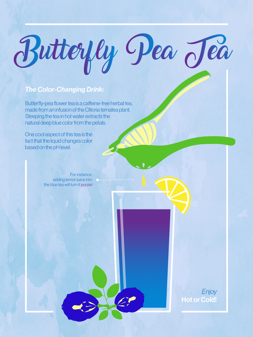 Project4_Final_PRINT