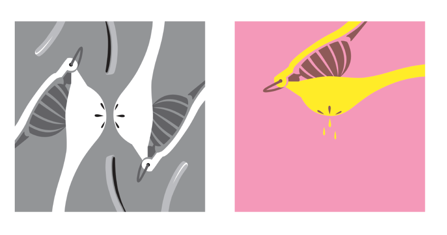 Screen Shot 2019-04-19 at 11.51.18 AM